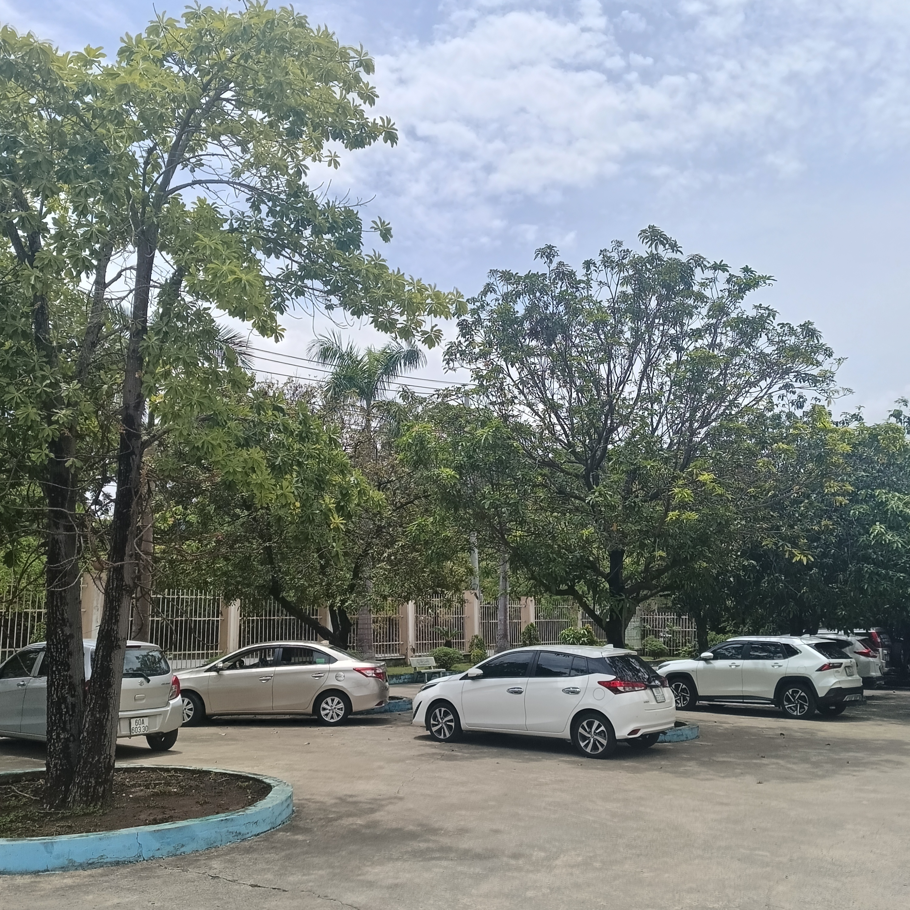Bãi đỗ xe thoáng đãng, cây xanh mát.