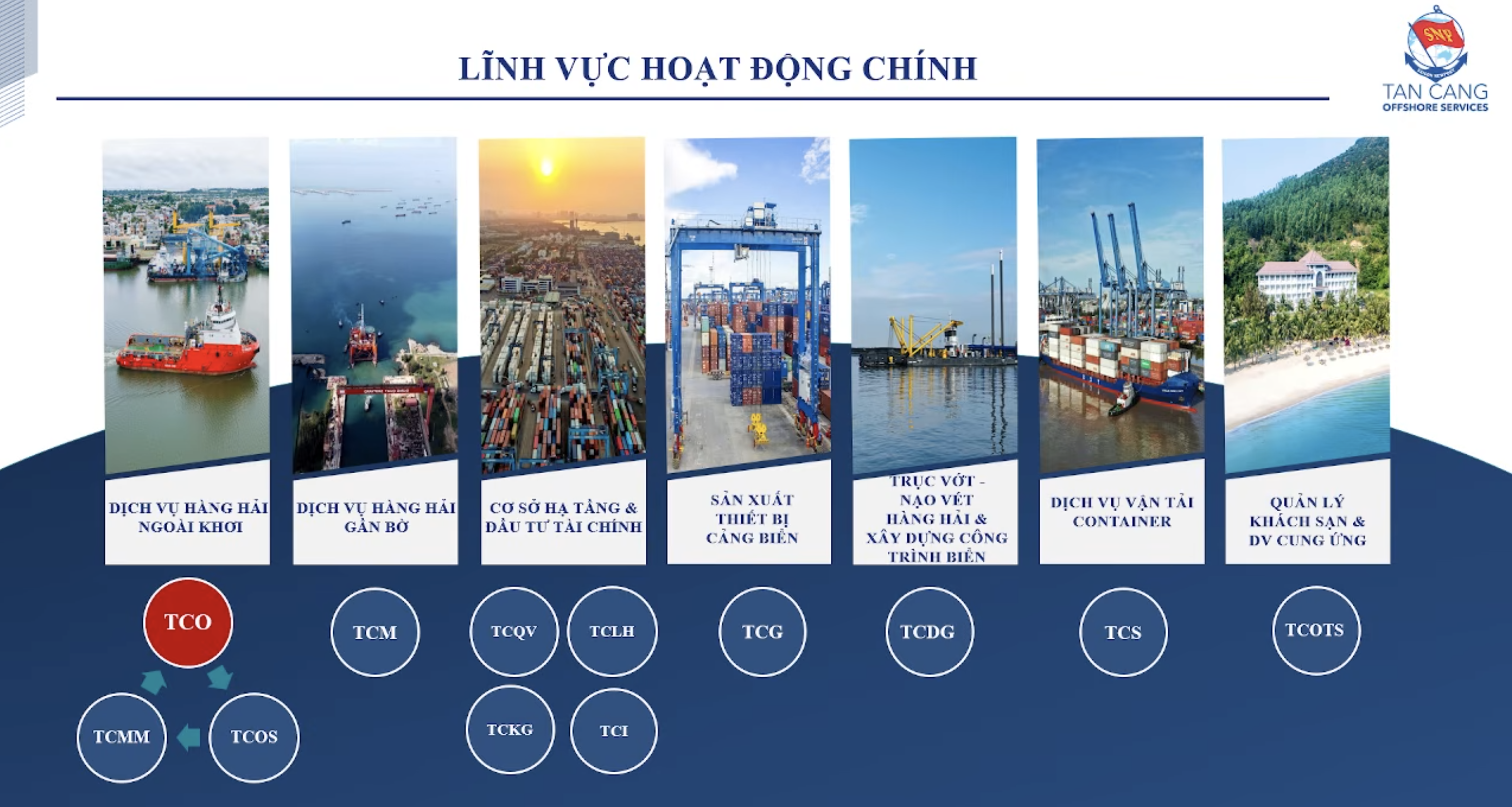 7 lĩnh vực hoạt động chính của hệ sinh thái TCO.